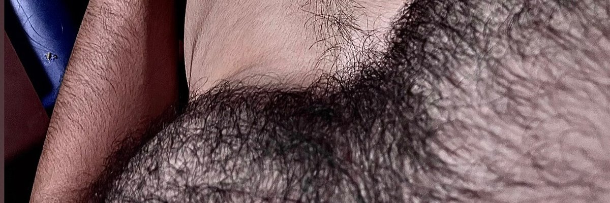 AlfWolfXXX🐺 cover