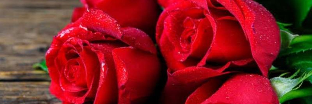 AliceBaby❤️👌 cover