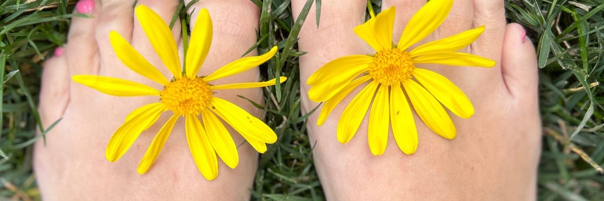 Annsprettyfeet cover