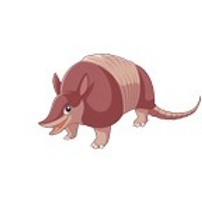 ArmadilloOutpost