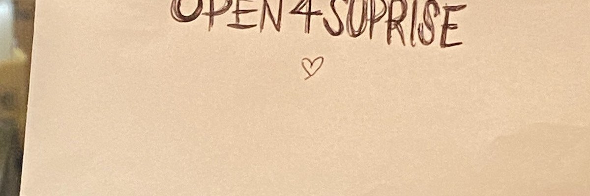 Ashen Assassin cover