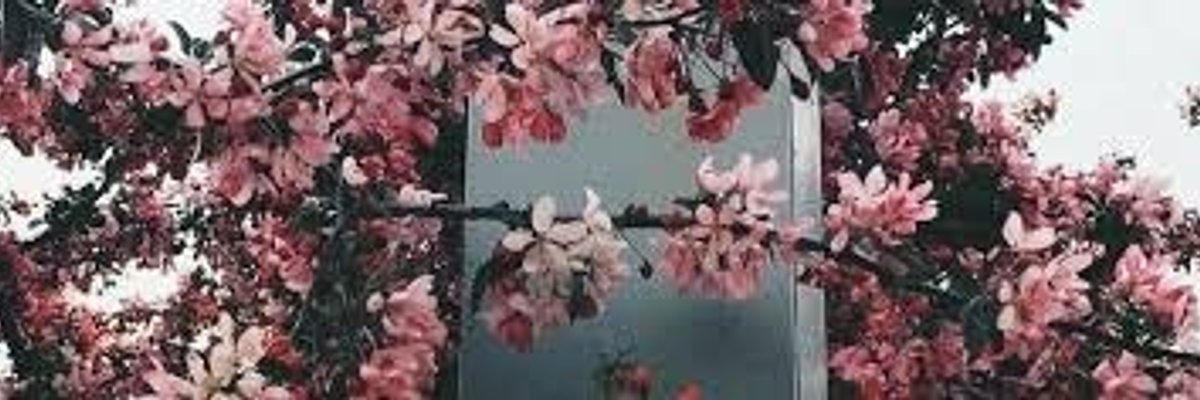 Scarlet.Babyy cover