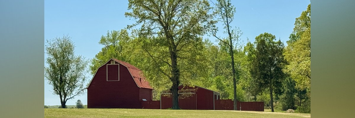 Barefoot Golfer Girl cover