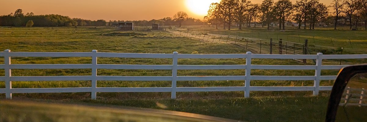 BeardedErrection cover