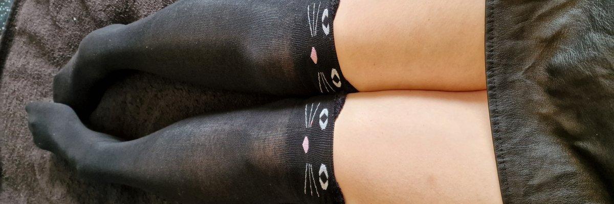 BearyCuteGamerPremium cover