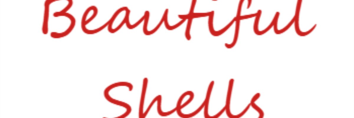 Shelly Shells cover