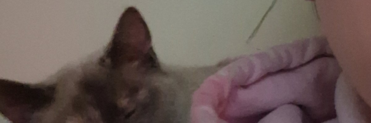 bratty booty cover