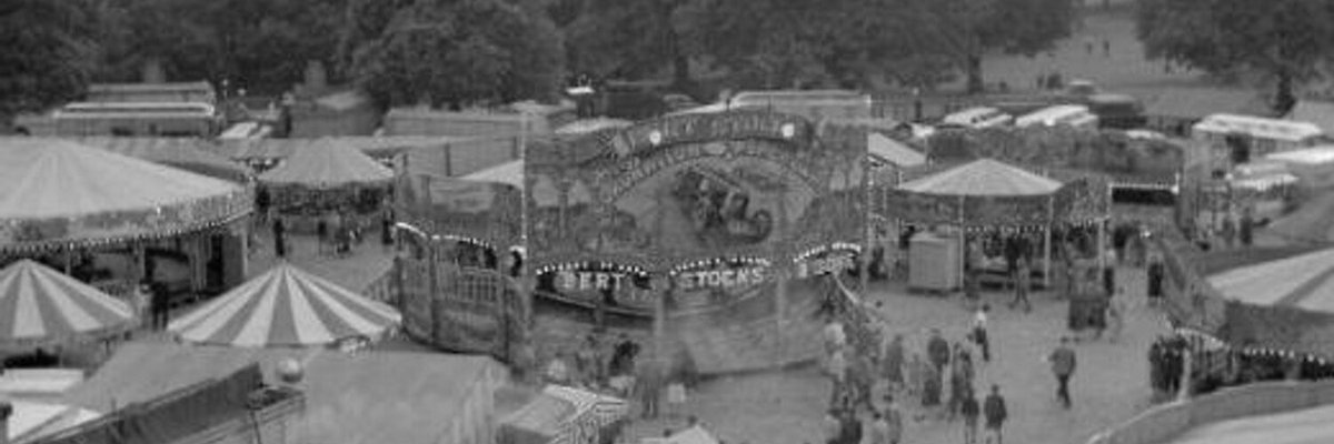 GreatTits British Wildlife Cam cover