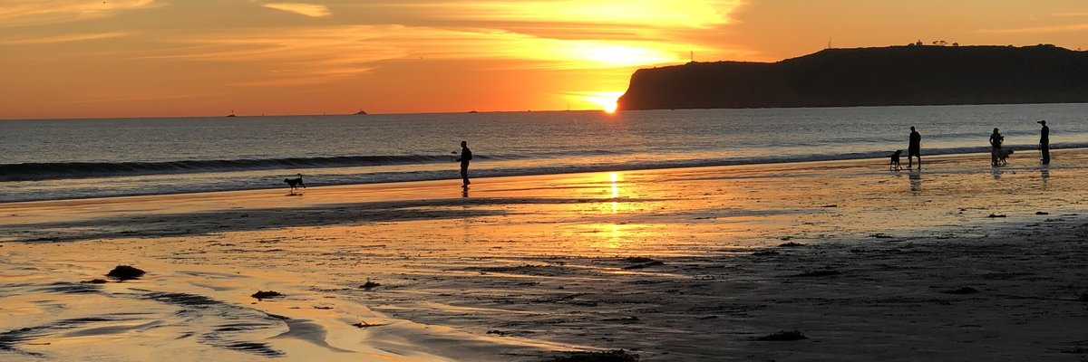 Brooklyn Monroe cover