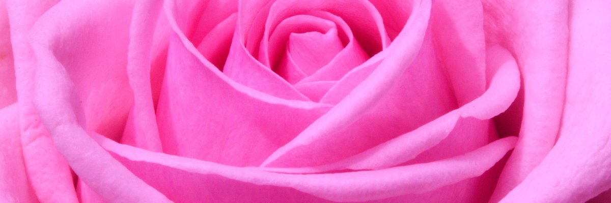 𝒷𝓇𝑜𝓌𝓃 𝓈𝓊𝑔𝒶𝓇 𝓅𝓇𝒾𝓃𝒸𝑒𝓈𝓈 cover