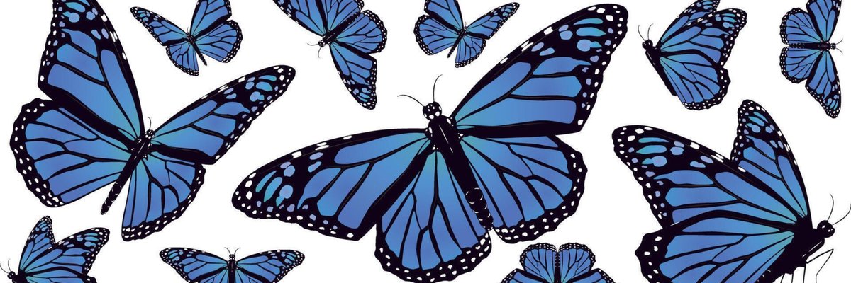 BulgarianGypsy cover