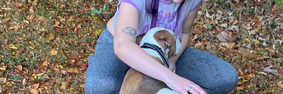 bunnie the cow cover