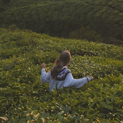 WanderinWonderinGal