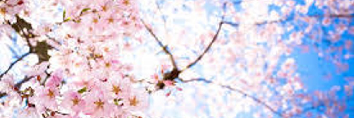 Chanel Christine cover