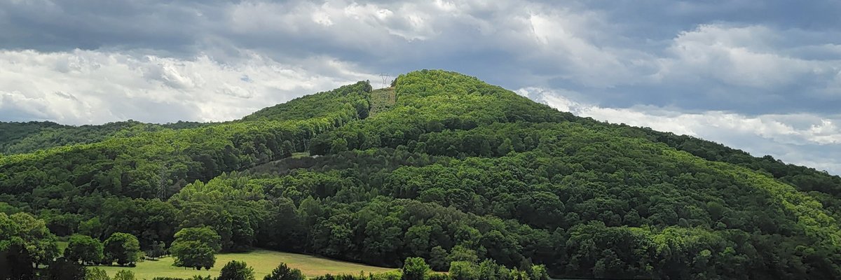 The lunar flower of perversion cover