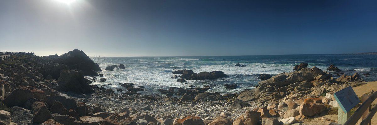 Classyfitchic50 cover