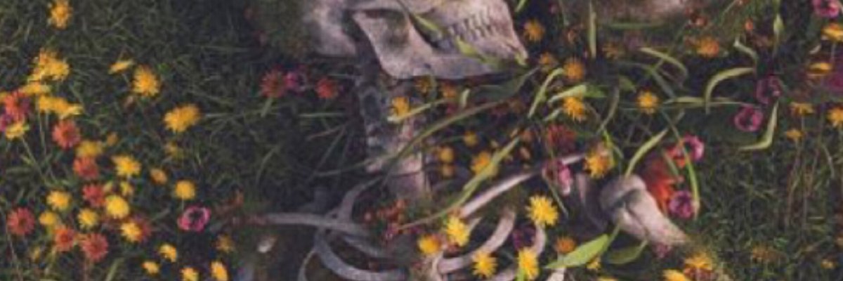 🤍pretty boy Wes🖤 cover