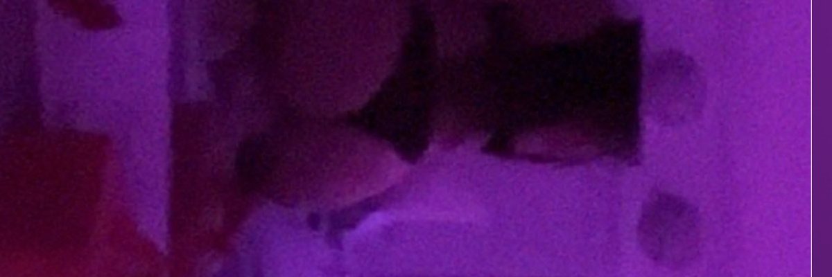 Fia cover