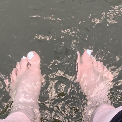 Cutest Feet in the Forest