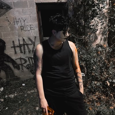 Phoenixxx