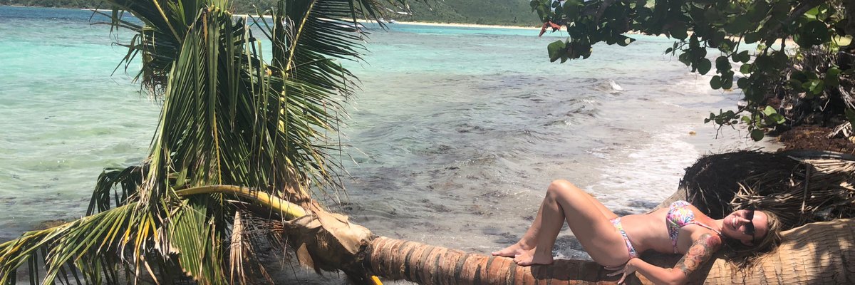 🌼 Daisy 🌼 cover