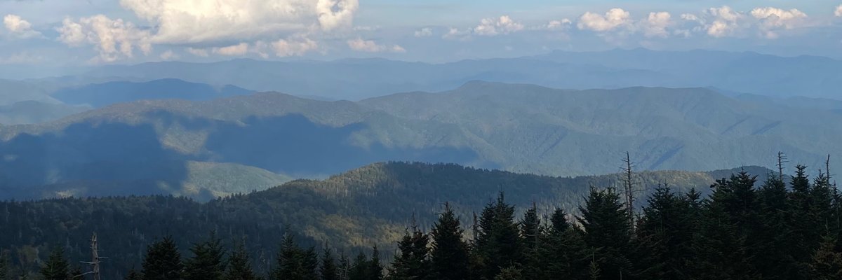 Dallas White 🌴 cover