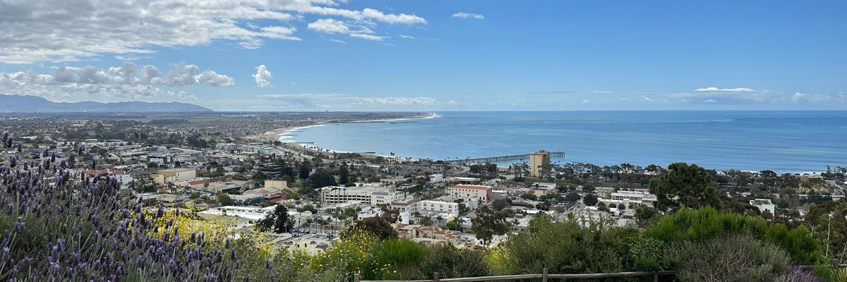 Dangerouslydank cover