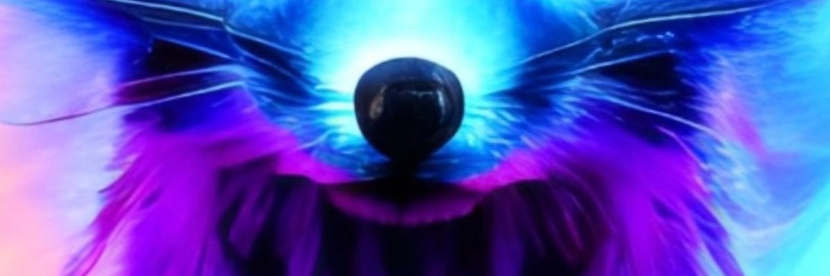 DangerWildFoxFree cover