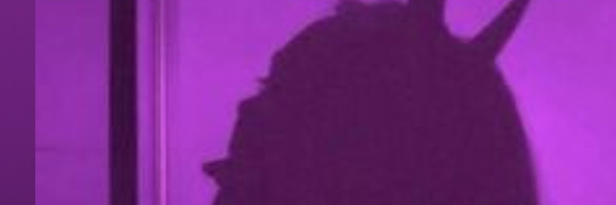 dani cover