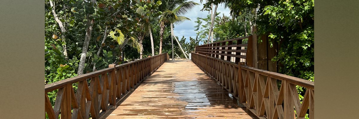 Jane & Everett cover