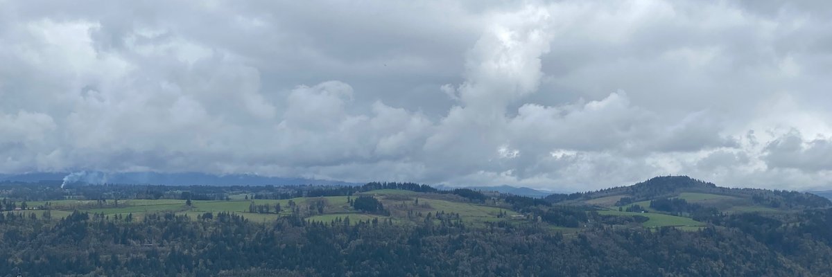 Dayzi kay 🌼 cover