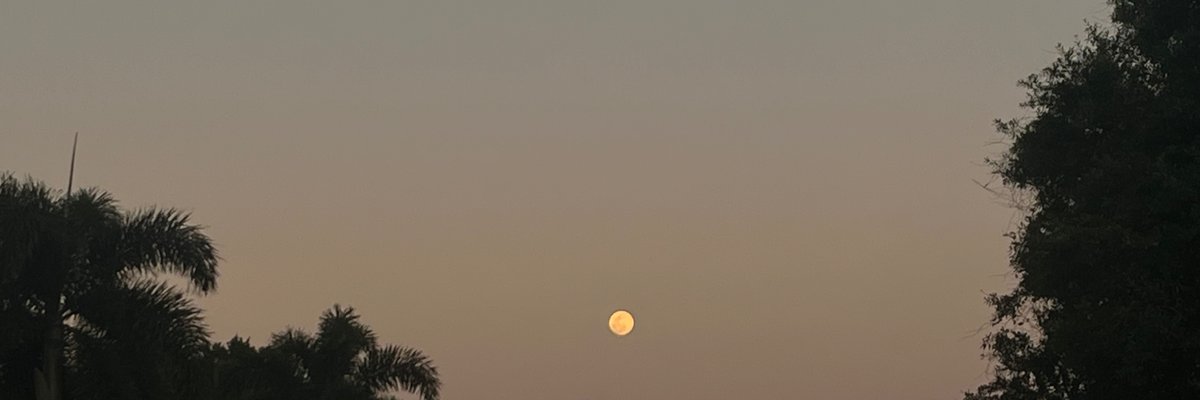 DesertFlower cover