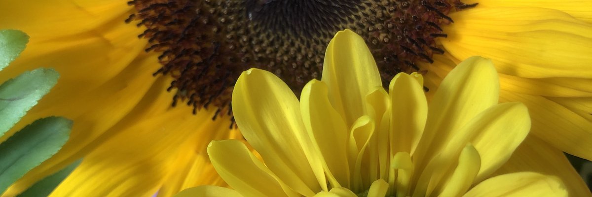 digitalprincxss cover