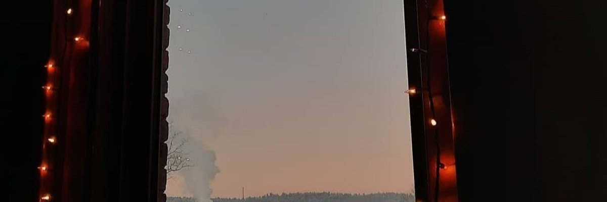 dollarstorejuice cover