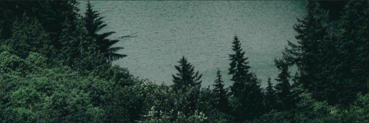 ✨Amber L.✨ cover