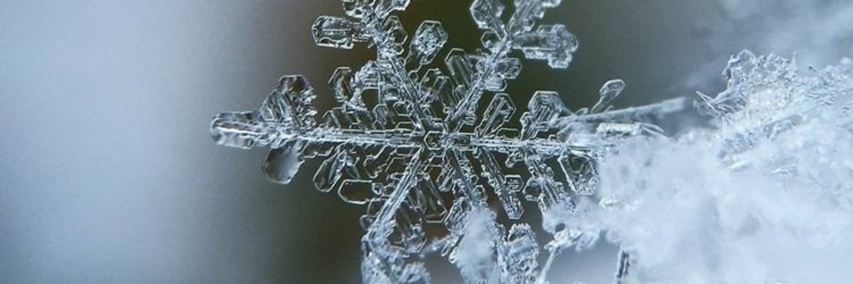 Doxywinter cover