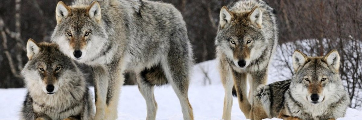 Facial queen 💦💦💦 cover