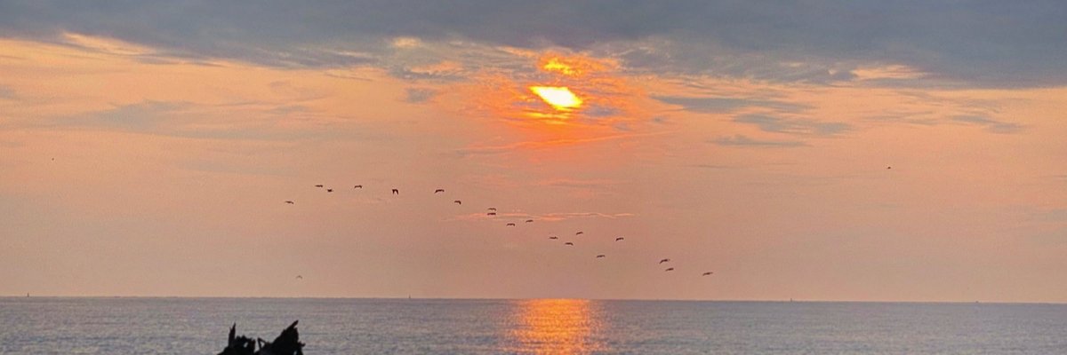 Emberlee Aiken cover