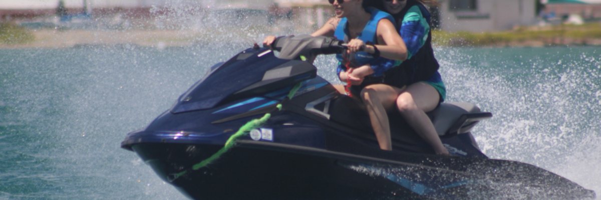 VIP Eevee’s Collab page! cover