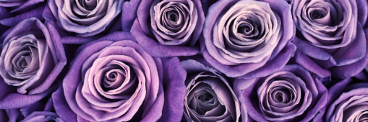 Feet & Heels!! cover