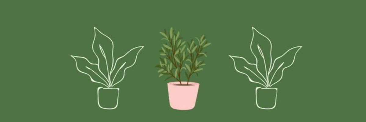 Faerie.Vanessa cover