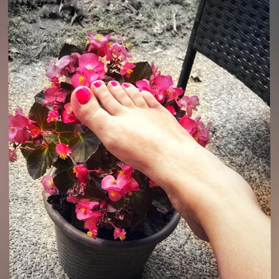 Fancy Feet