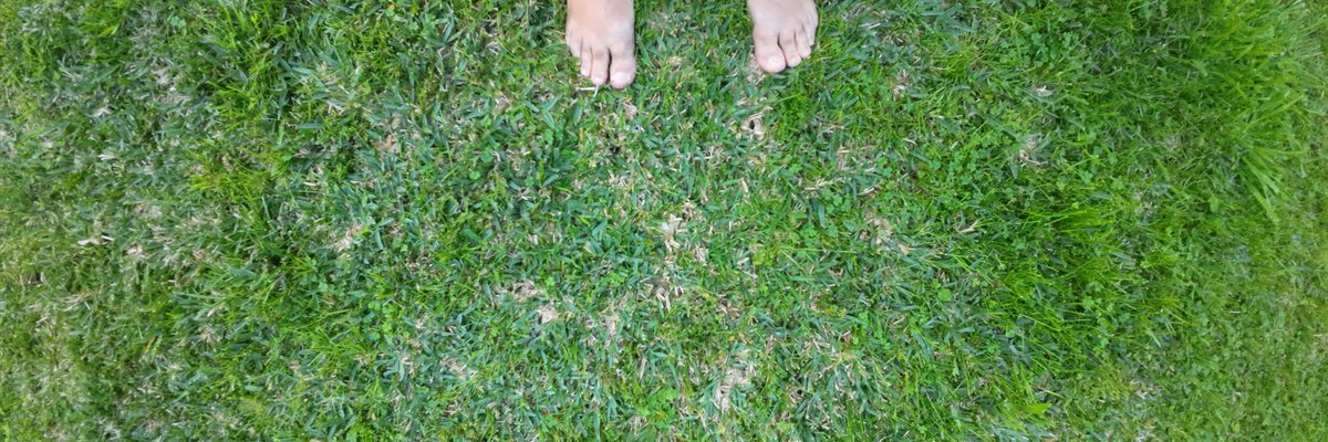 Feet, What Else! cover