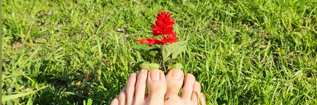 Feral Feet Treat cover