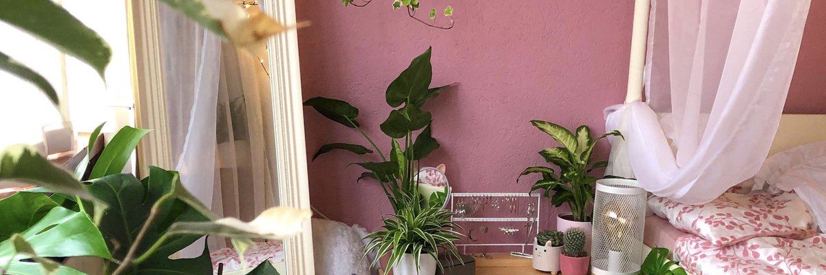 ♡Feya Fern♡ cover