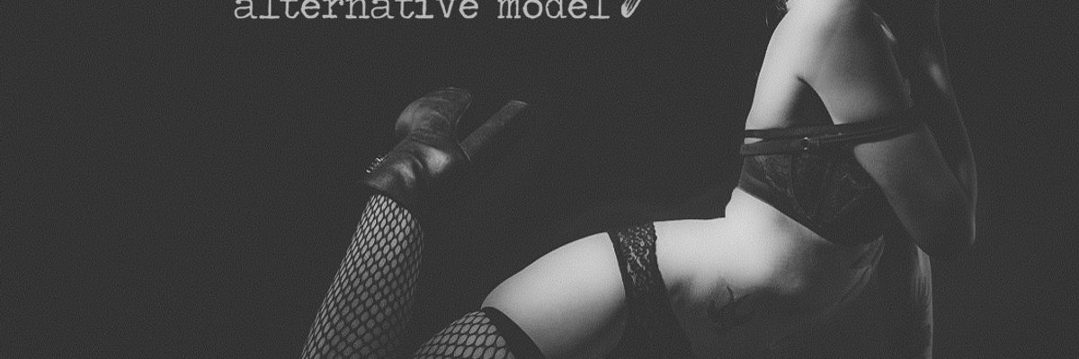 Fioner Felony! cover