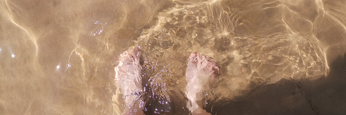 🔥 Fire Lilly 🔥 cover