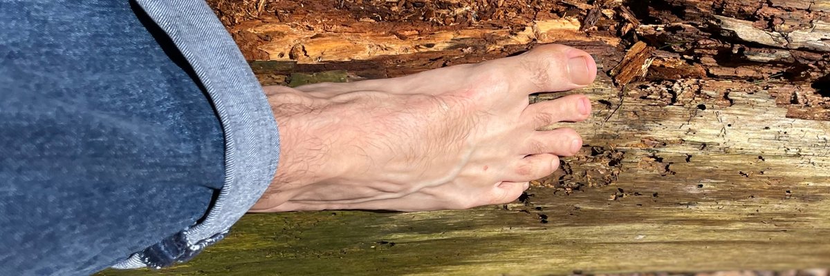 FootOrFeet cover