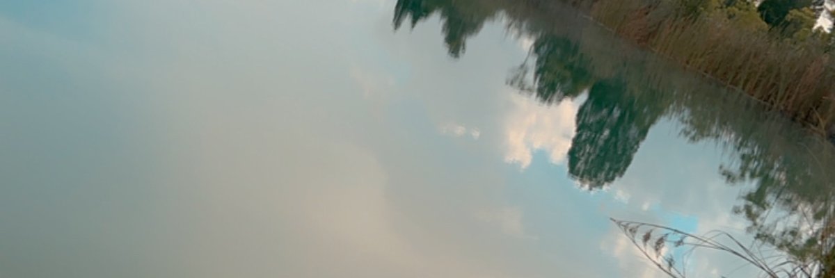 FloridaRedhead cover