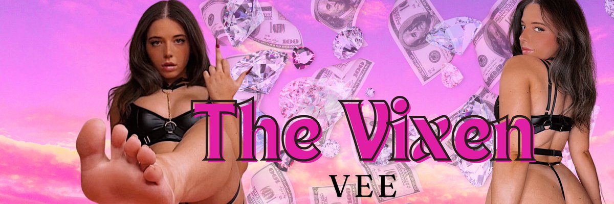 The Vixen Vee cover